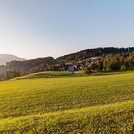 Apartmaji Pr-Gujlu Sela Nad Podmelcem 5220 Tolmin Podmelec エクステリア 写真