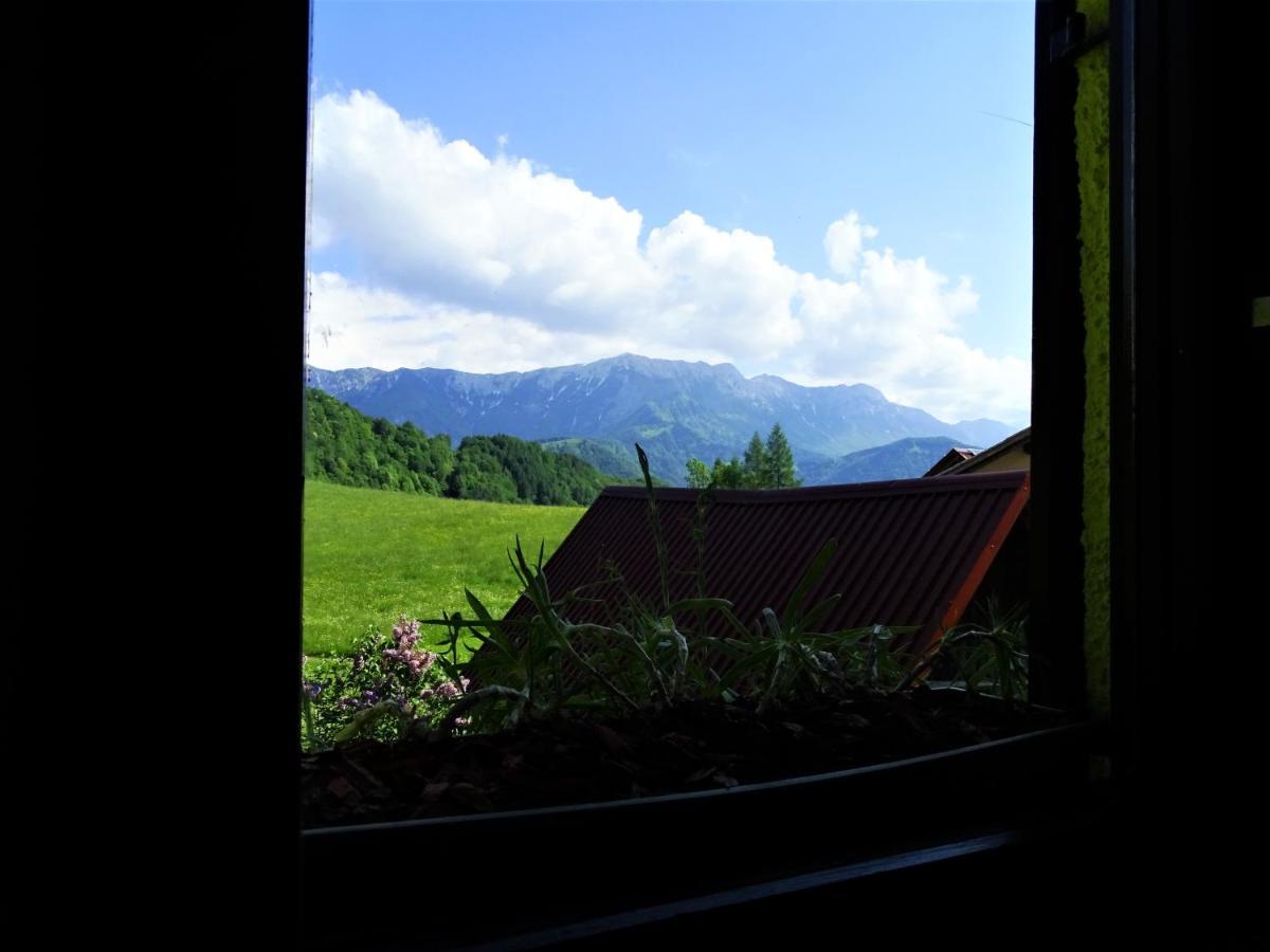 Apartmaji Pr-Gujlu Sela Nad Podmelcem 5220 Tolmin Podmelec エクステリア 写真