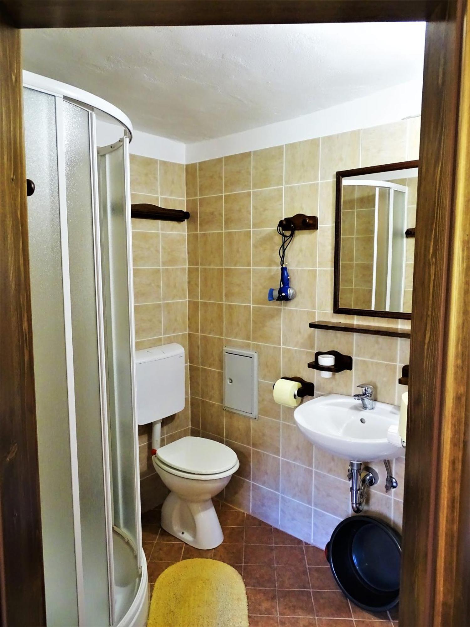 Apartmaji Pr-Gujlu Sela Nad Podmelcem 5220 Tolmin Podmelec エクステリア 写真