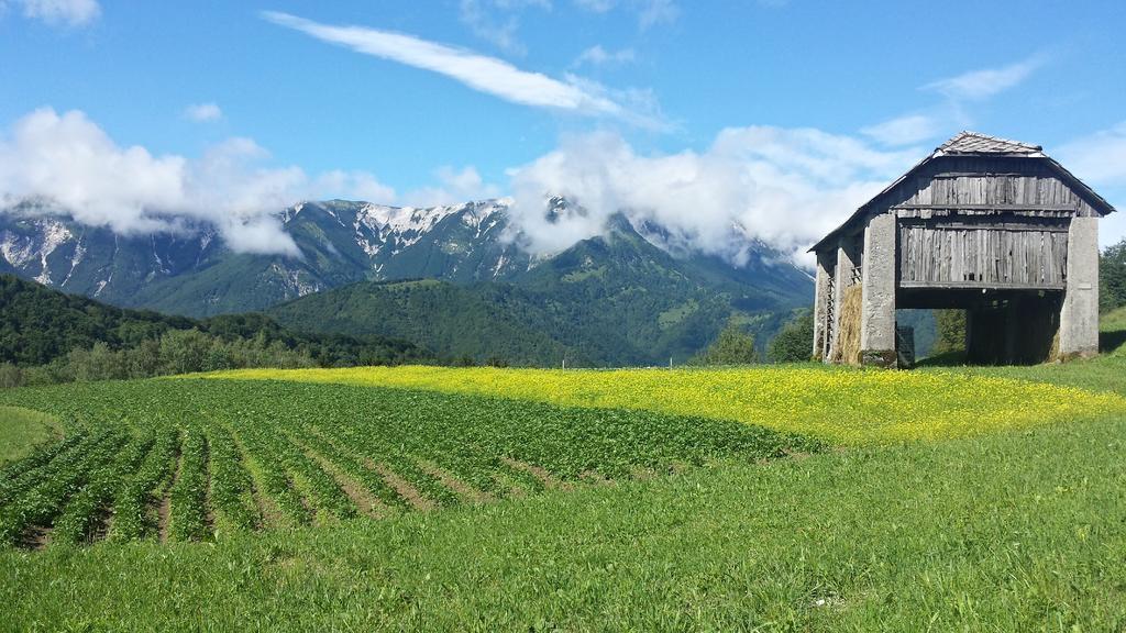 Apartmaji Pr-Gujlu Sela Nad Podmelcem 5220 Tolmin Podmelec エクステリア 写真