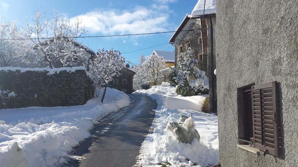Apartmaji Pr-Gujlu Sela Nad Podmelcem 5220 Tolmin Podmelec エクステリア 写真