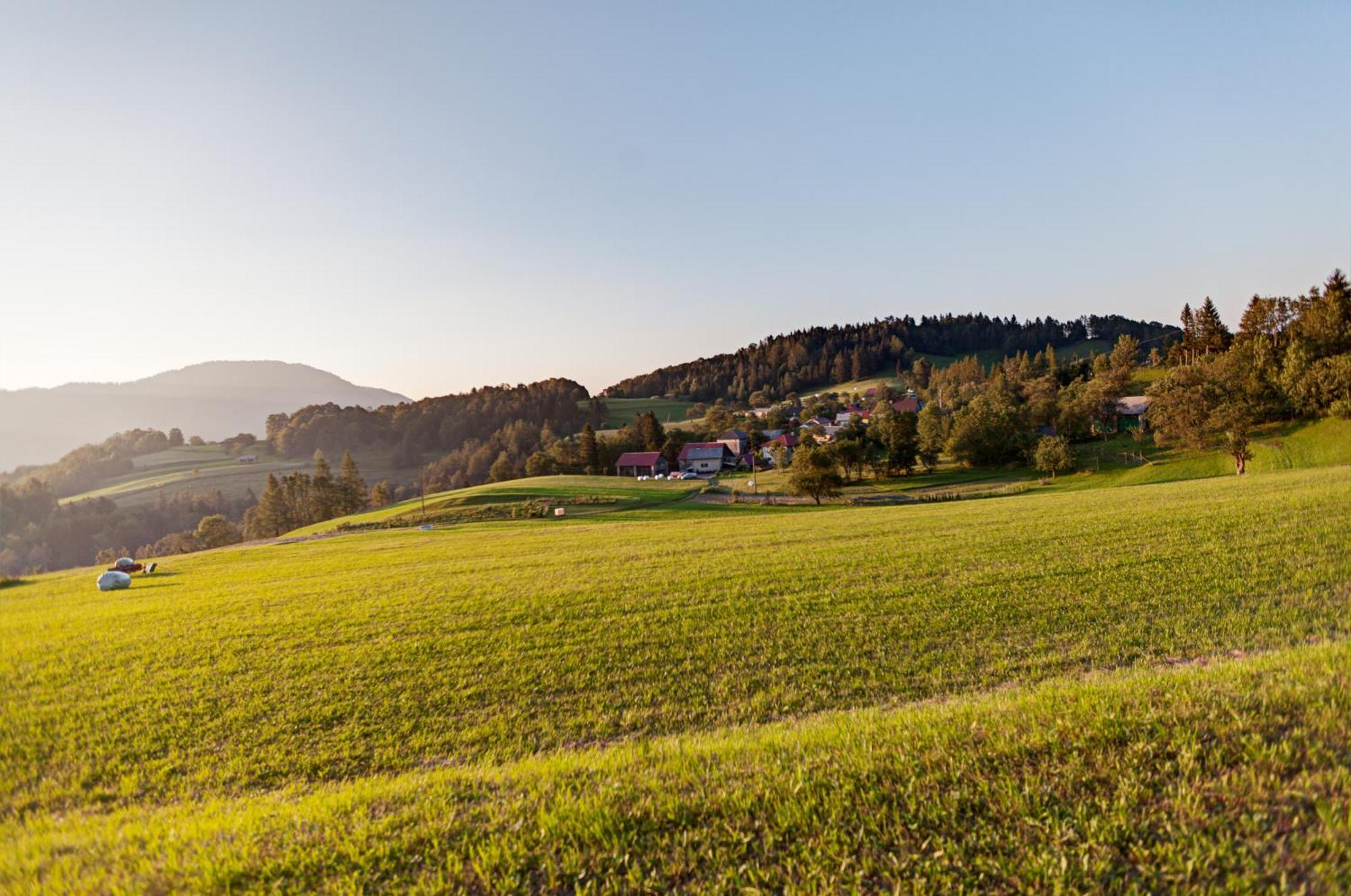 Apartmaji Pr-Gujlu Sela Nad Podmelcem 5220 Tolmin Podmelec エクステリア 写真