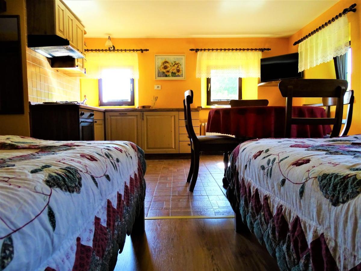 Apartmaji Pr-Gujlu Sela Nad Podmelcem 5220 Tolmin Podmelec エクステリア 写真